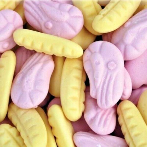 Foam