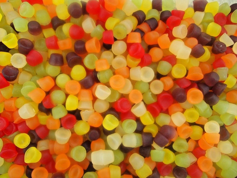 Squirrel Floral Gums