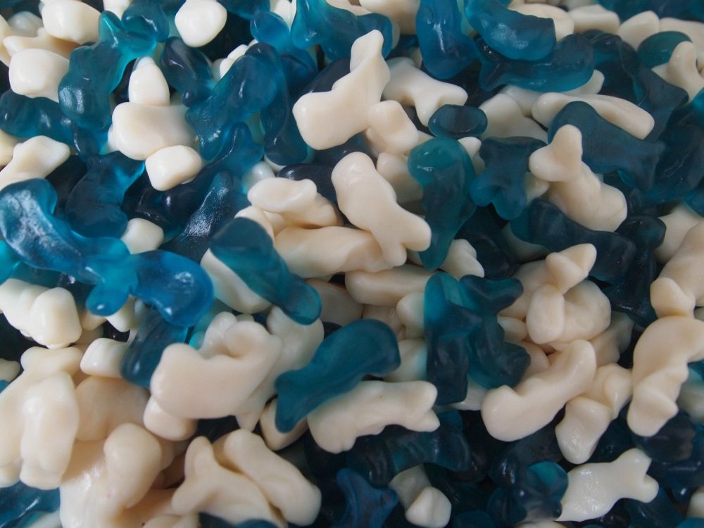 Baby Dolphins Jelly Sweets